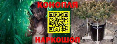 гашик Изобильный
