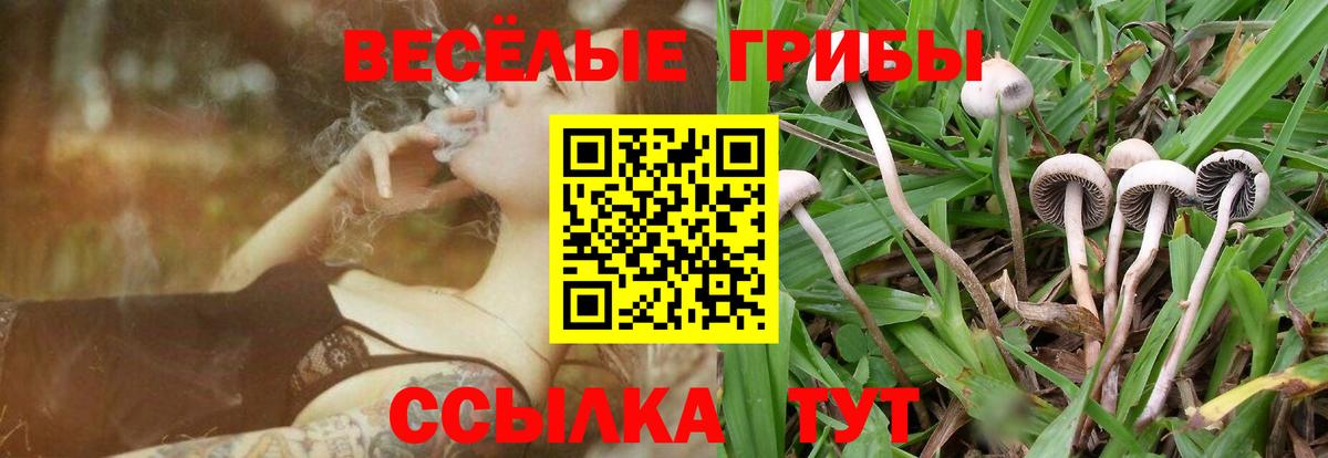 Кызыл  Галлюциногенные грибы ЛСД  Вход с VPN  Галлюциногенные грибы Psilocybe 